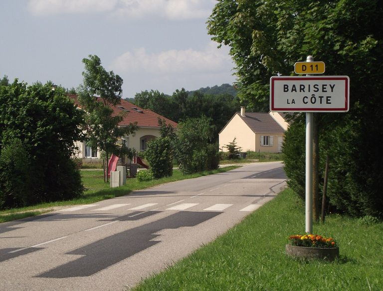 Vue de Barisey-la-Côte