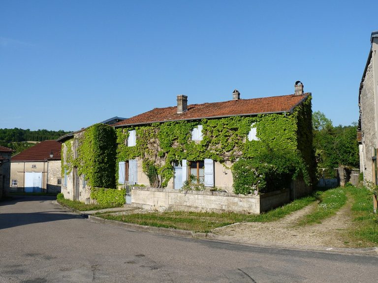 Vue de Bazincourt-sur-Saulx