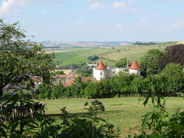 Vue de Belleau
