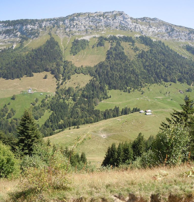 Vue de Bellecombe-en-Bauges