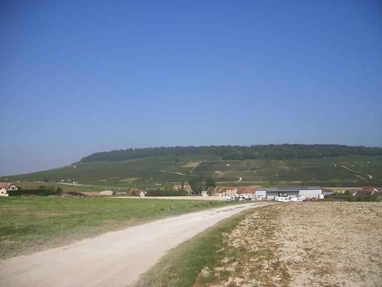 Vue de Bergères-lès-Vertus