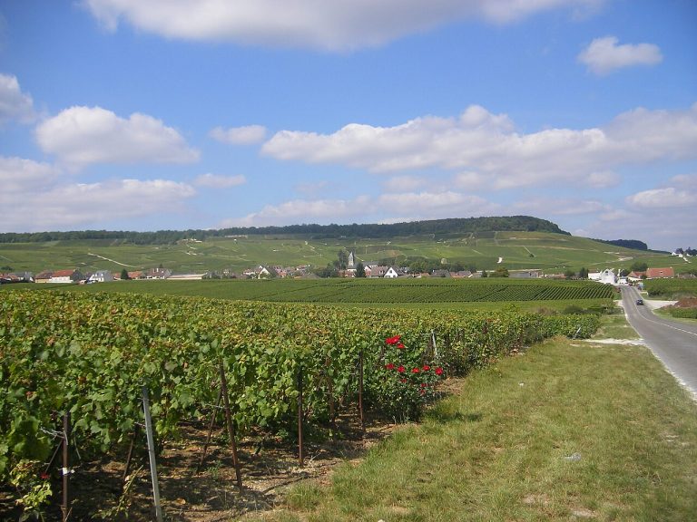 Vue de Blancs-Coteaux