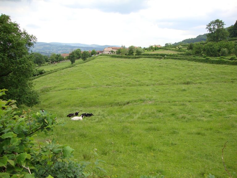 Vue de Brandon
