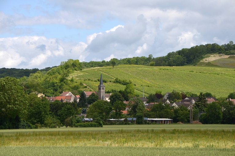 Vue de Brasles