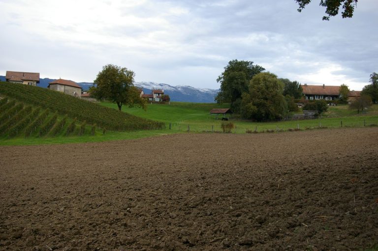 Vue de Avusy