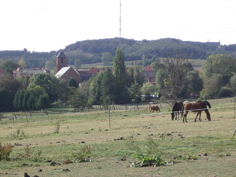 Vue de Berthen