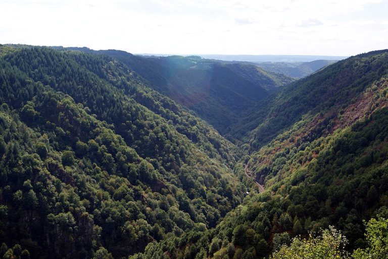 Vue de Camps-Saint-Mathurin-Léobazel