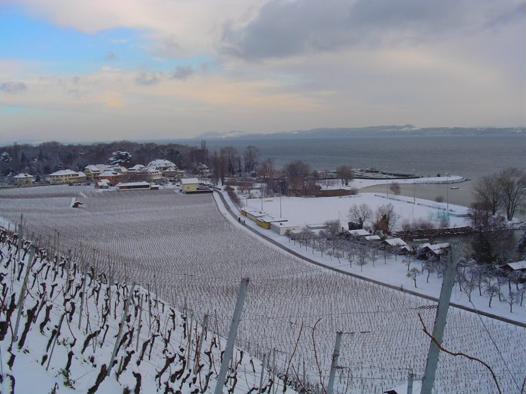 Vue de Cortaillod