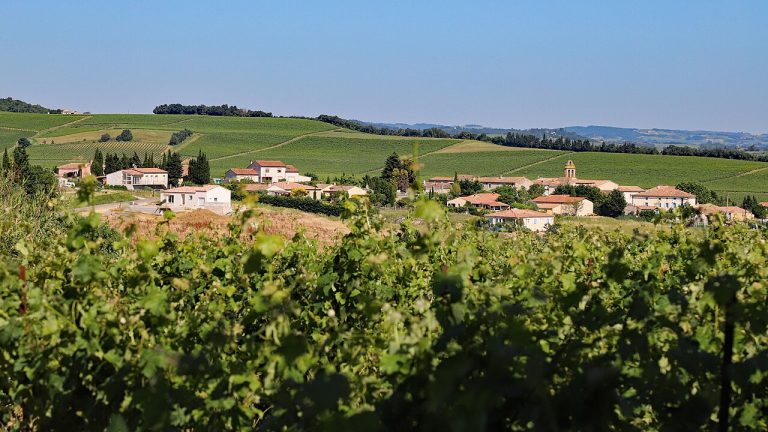 Vue de Gaja-et-Villedieu