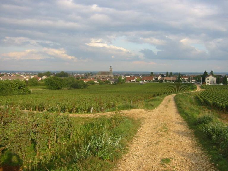 Vue de Marsannay-la-Côte