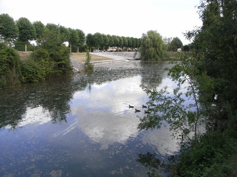 Vue de Mauzé-sur-le-Mignon