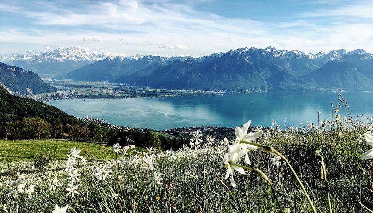 Vue de Montreux