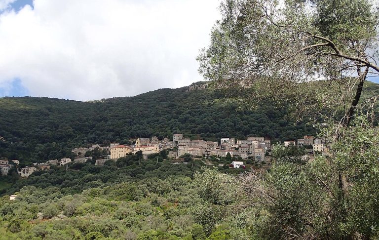 Vue de Olmeto