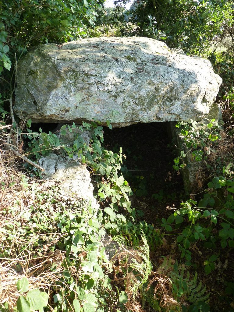 Vue de Plénée-Jugon