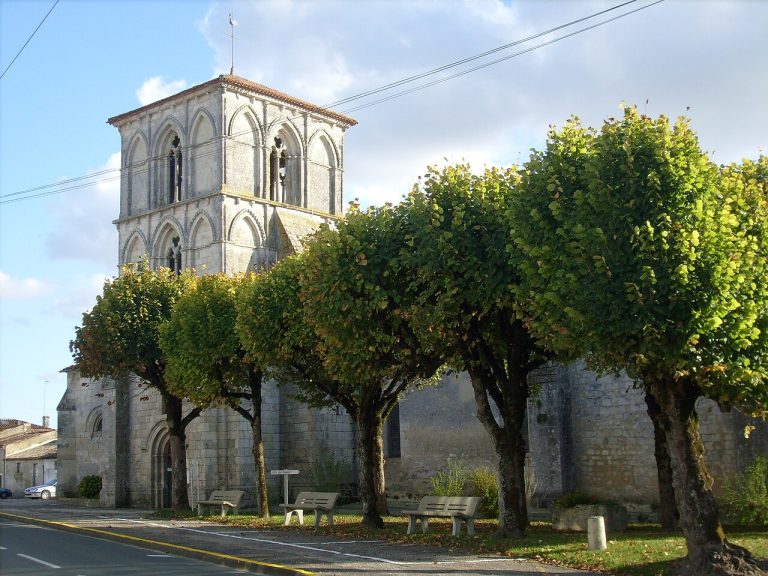 Vue de Saint-Ciers-du-Taillon
