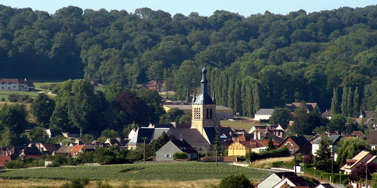 Vue de Saint-Martin-d'Ablois