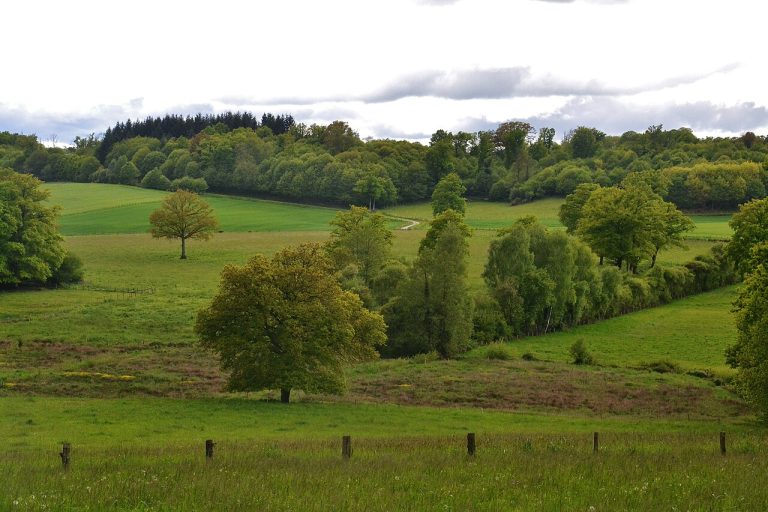Vue de Saint-Maurice-la-Souterraine