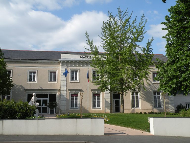 Vue de Sainte-Gemmes-sur-Loire
