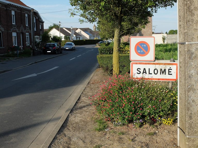 Vue de Salome