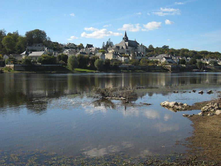 Vue de Candes-Saint-Martin
