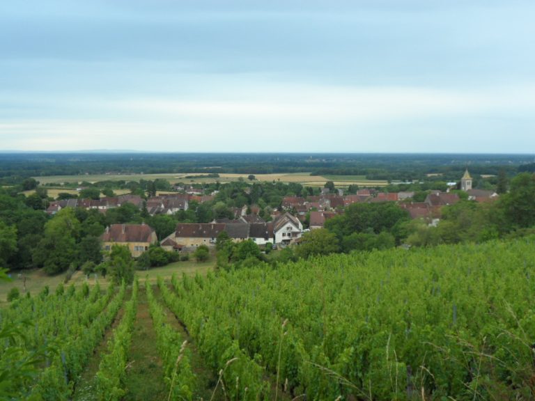 Vue de Cesancey