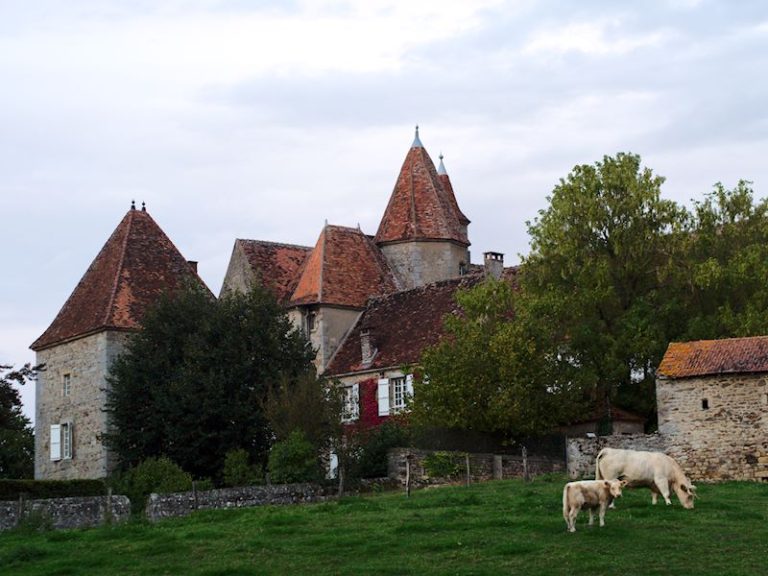 Vue de Ciry-le-Noble