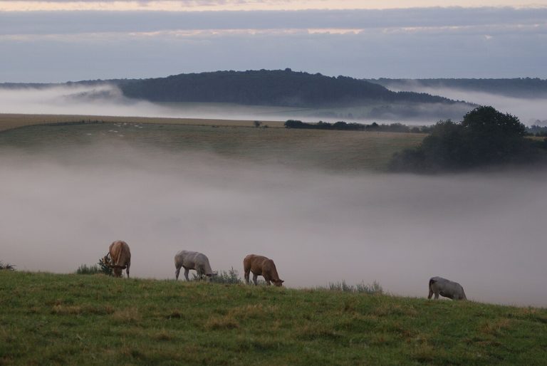 Vue de Colmier-le-Bas