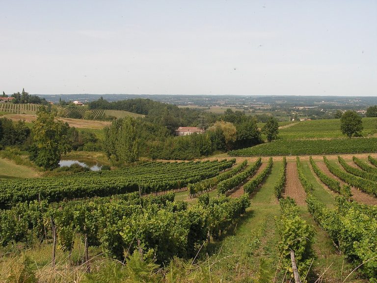 Vue de Colombier