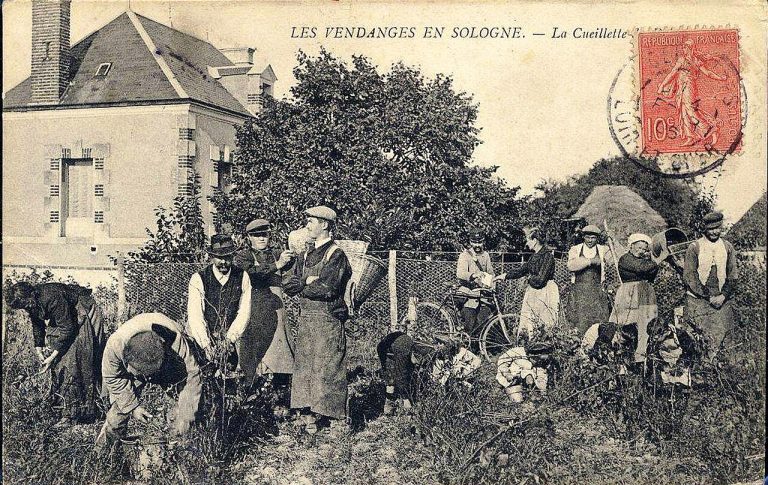 Vue de Cour-Cheverny