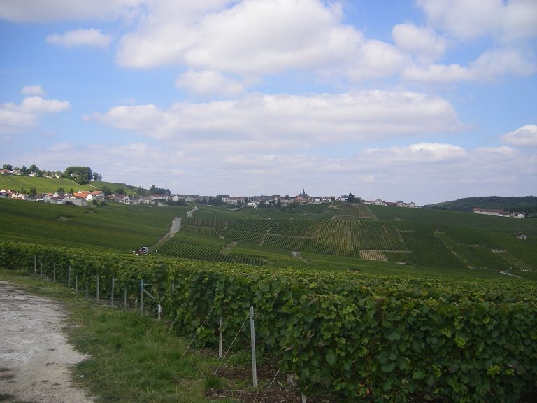 Vue de Cramant