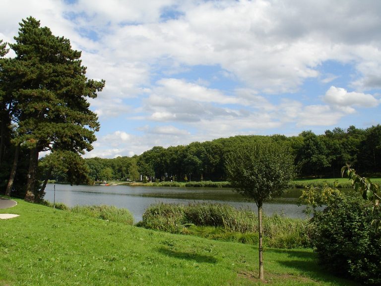 Vue de Creutzwald