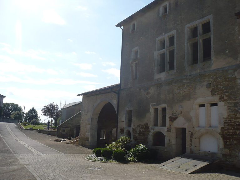 Vue de Dommartin-sur-Vraine