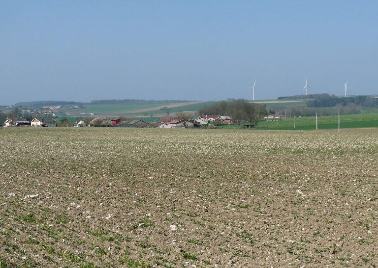 Vue de Échenay
