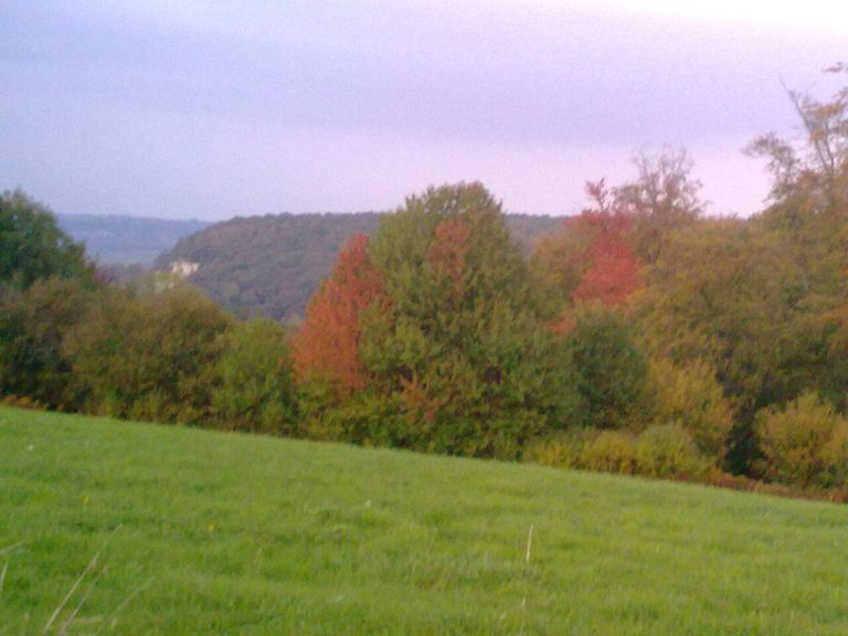 Vue de Fatouville-Grestain