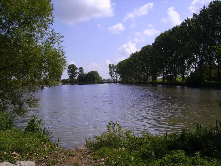 Vue de Francaltroff