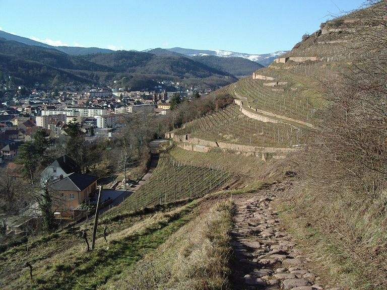 Vue de Guebwiller