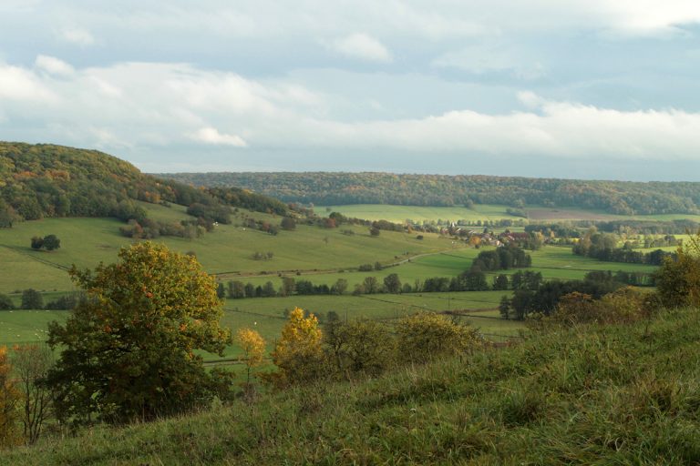 Vue de Haute-Amance