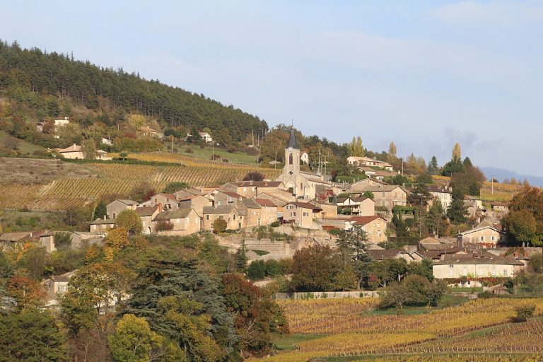 Vue de La Roche-Vineuse