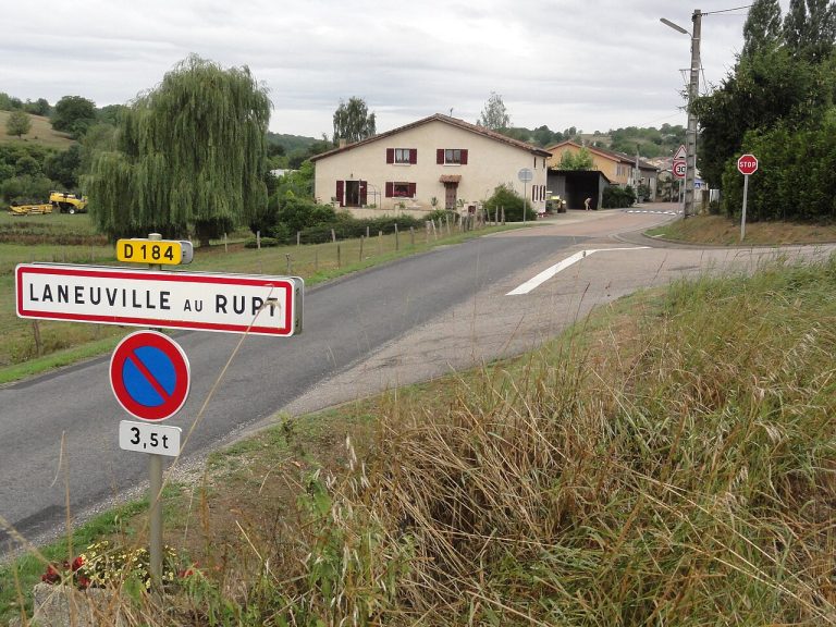 Vue de Laneuville-au-Rupt