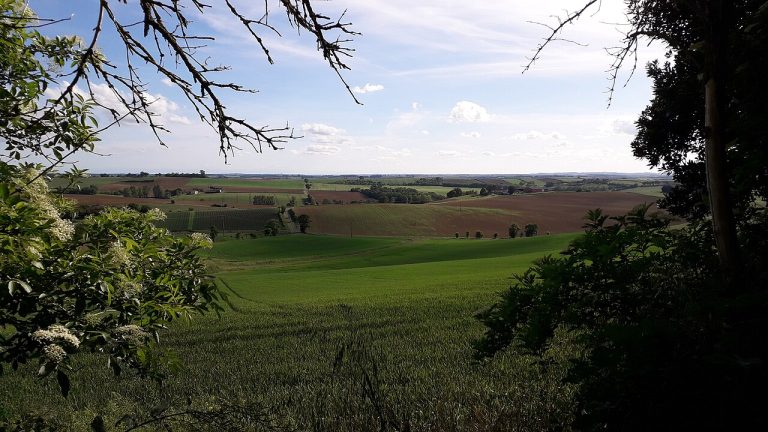 Vue de Le Causé