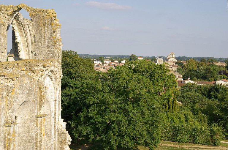 Vue de Maillezais