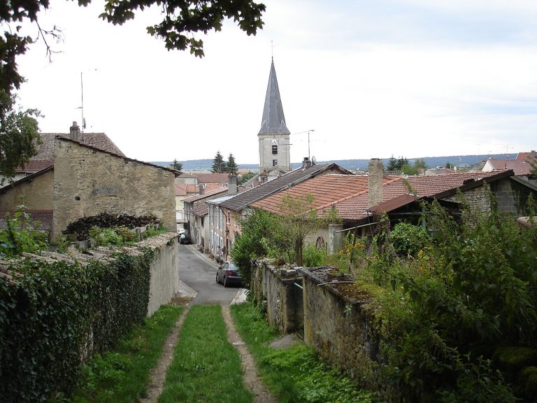 Vue de Maxey-sur-Vaise