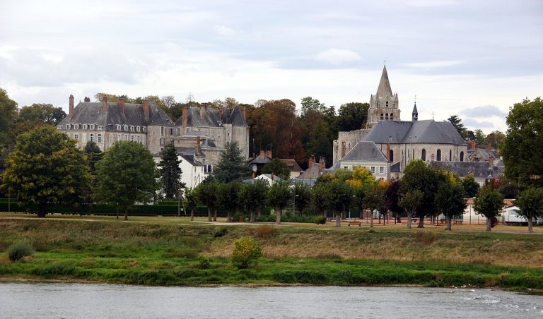 Vue de Meung-sur-Loire
