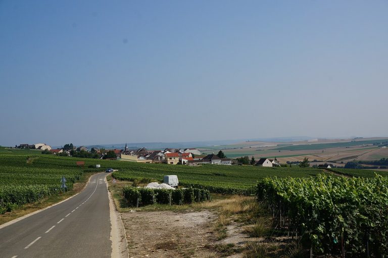 Vue de Monthelon