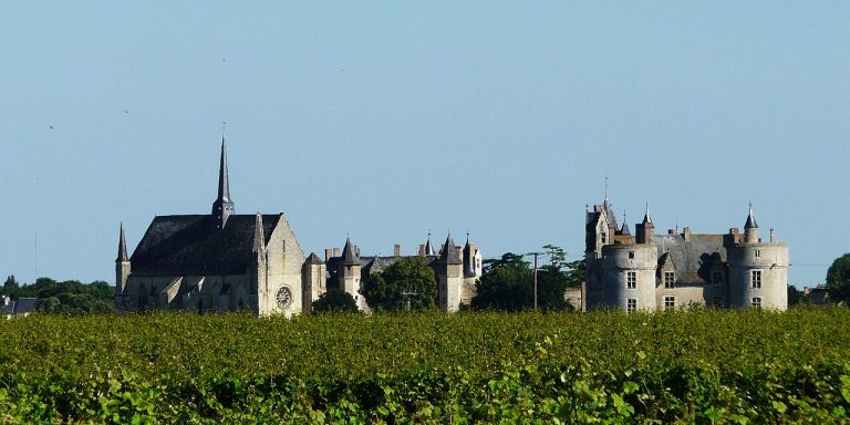 Vue de Montreuil-Bellay