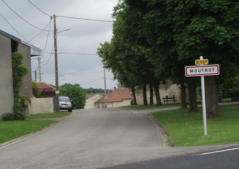 Vue de Moutrot