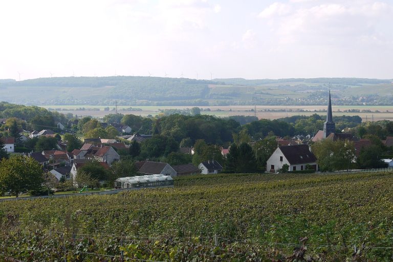 Vue de Nesles-la-Montagne