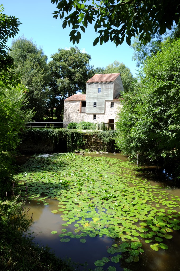 Vue de Nesmy