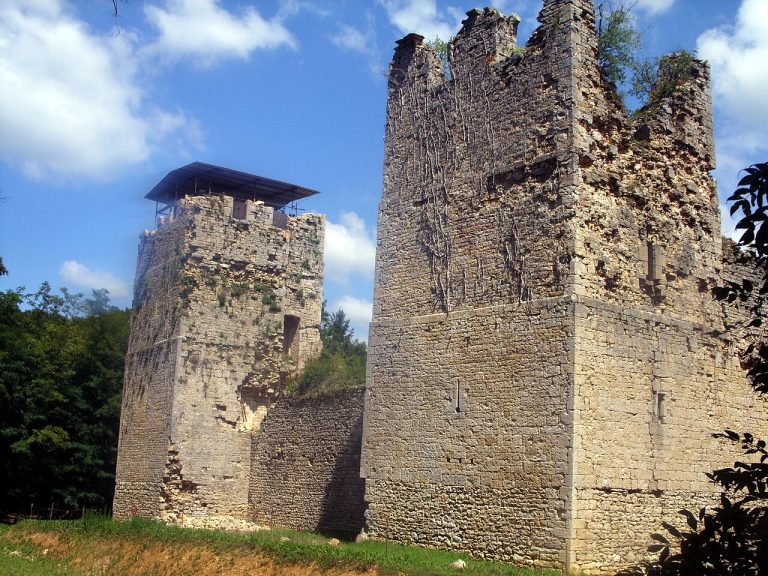 Vue de Neuville-sur-Ain