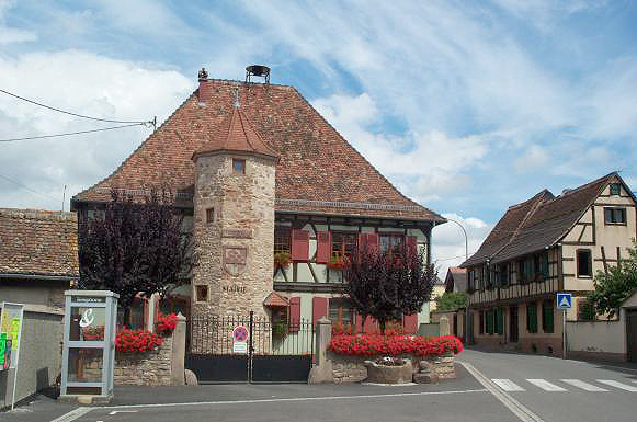 Vue de Niedernai